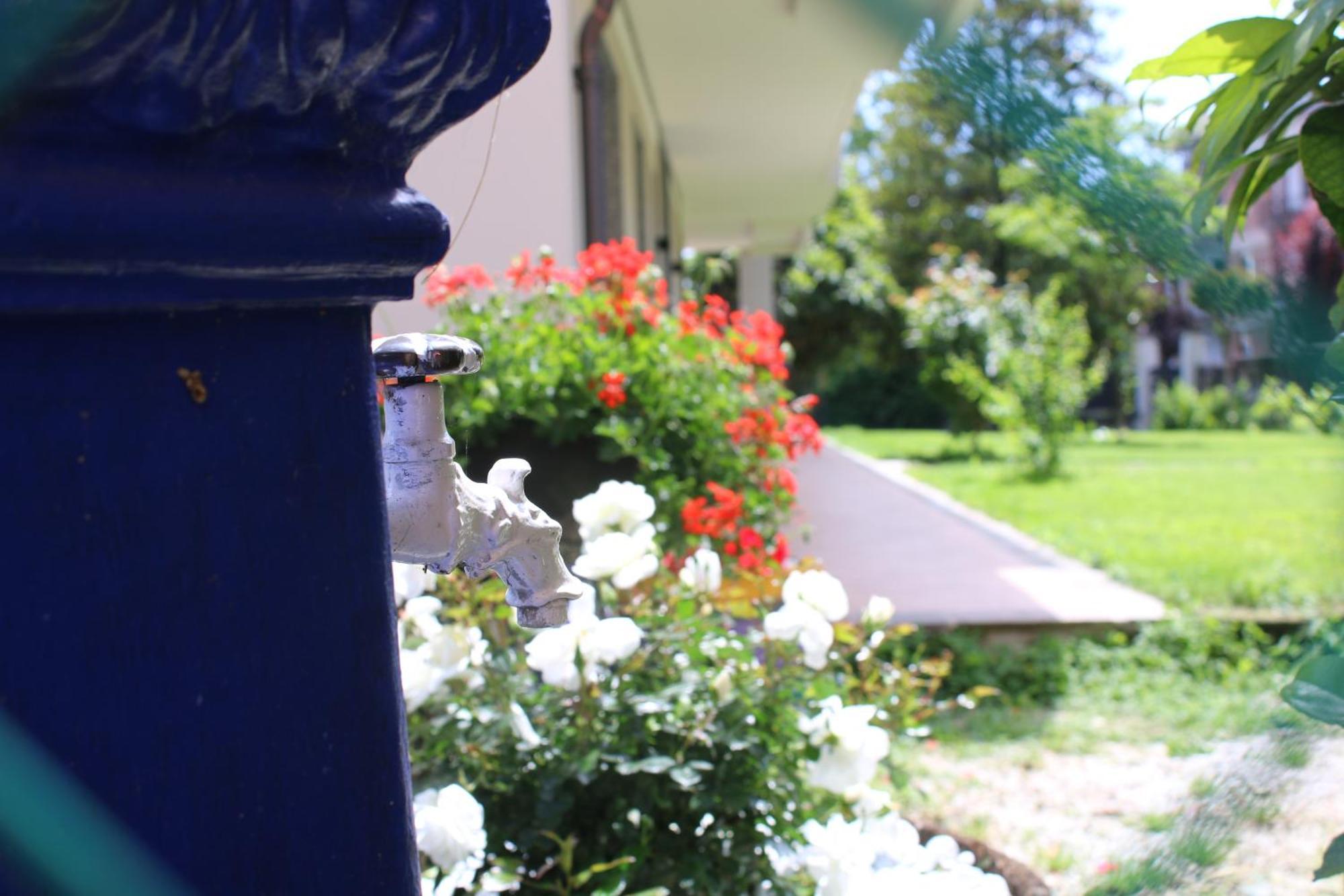 L'Alba Di Langa Hotel Narzole Ngoại thất bức ảnh